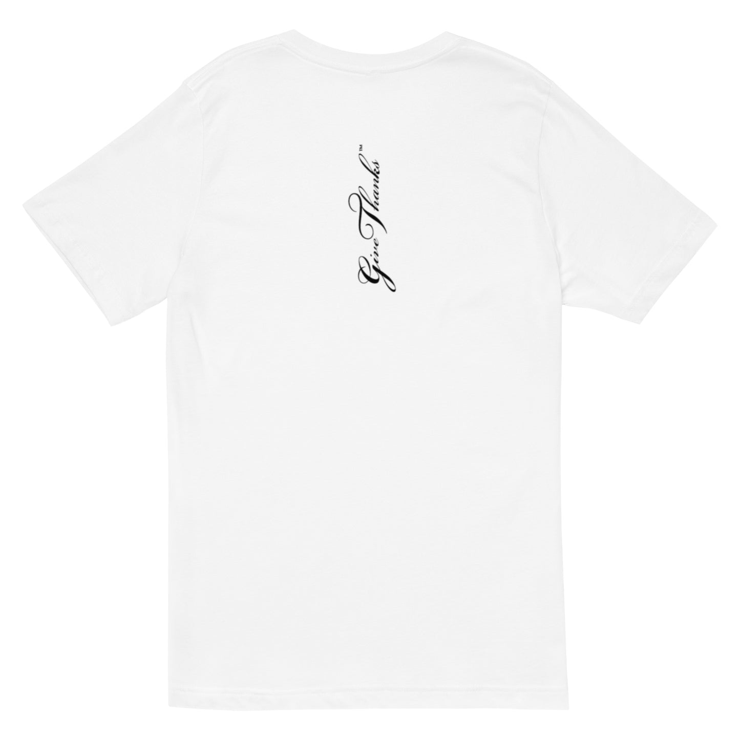 Unisex Short Sleeve V-Neck T-Shirt
